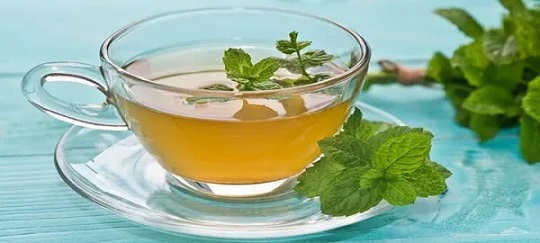 تصویر 3 از قیمت عرق نعنا تند پامچال + خرید باور نکردنی